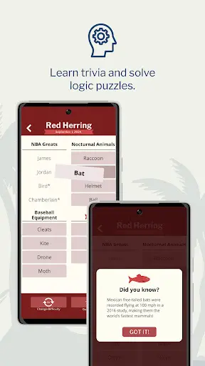 7 Little Words: Word Puzzles_1