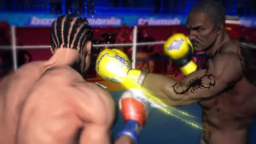 Punch Boxing 3D_1