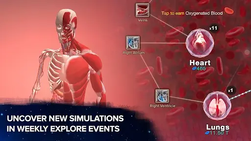 Cell to Singularity: Evolution_8