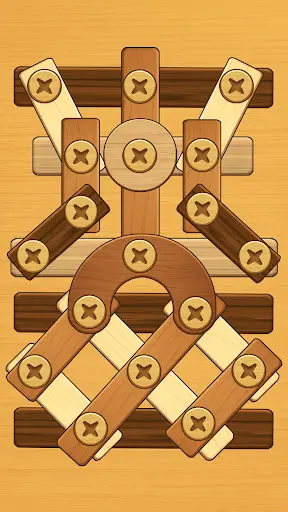 Screw Puzzle: Wood Nut & Bolt_4
