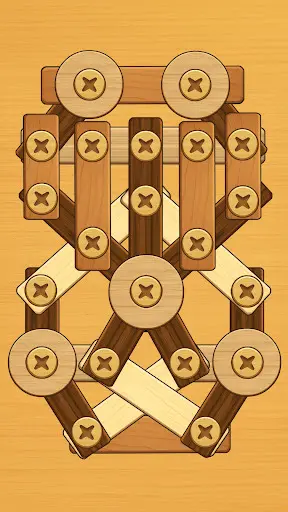 Screw Puzzle: Wood Nut & Bolt_5